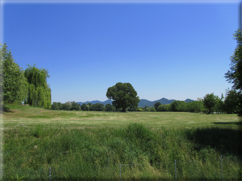 foto Paesaggi Collinari in Primavera